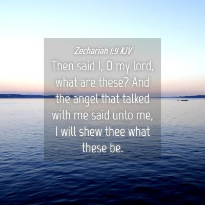 Picture 04 - Zechariah 1:9 KJV - Then said I, O my lord, what are these? And the - Bible Verse Picture