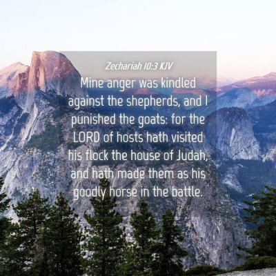 Picture 04 - Zechariah 10:3 KJV - Mine anger was kindled against the shepherds, and - Bible Verse Picture