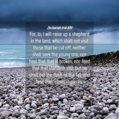 Picture 04 - Zechariah 11:16 KJV - For, lo, I will raise up a shepherd in the land, - Bible Verse Picture