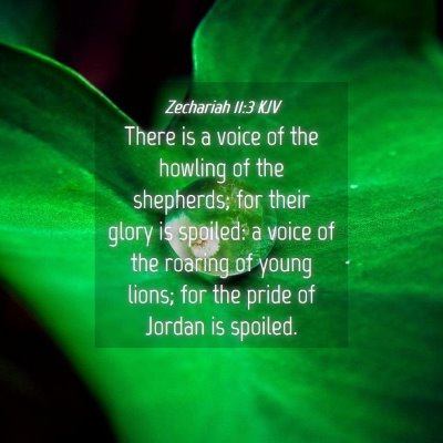 Picture 04 - Zechariah 11:3 KJV - There is a voice of the howling of the shepherds; - Bible Verse Picture