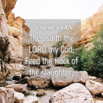Picture 04 - Zechariah 11:4 KJV - Thus saith the LORD my God; Feed the flock of the - Bible Verse Picture