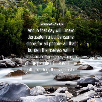 Picture 04 - Zechariah 12:3 KJV - And in that day will I make Jerusalem a - Bible Verse Picture