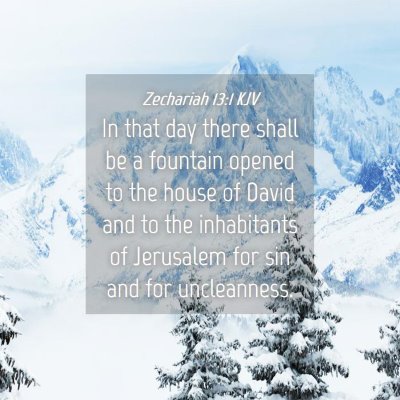 Picture 04 - Zechariah 13:1 KJV - In that day there shall be a fountain opened to - Bible Verse Picture