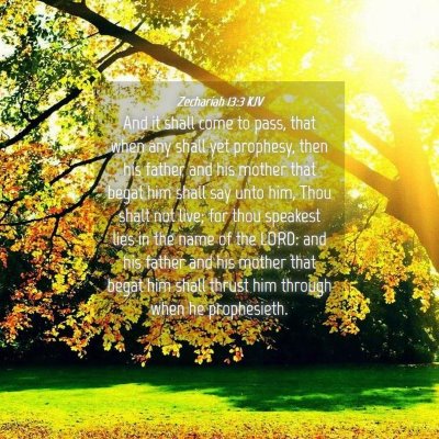 Picture 04 - Zechariah 13:3 KJV - And it shall come to pass, that when any shall - Bible Verse Picture