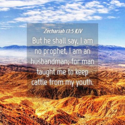 Picture 04 - Zechariah 13:5 KJV - But he shall say, I am no prophet, I am an - Bible Verse Picture