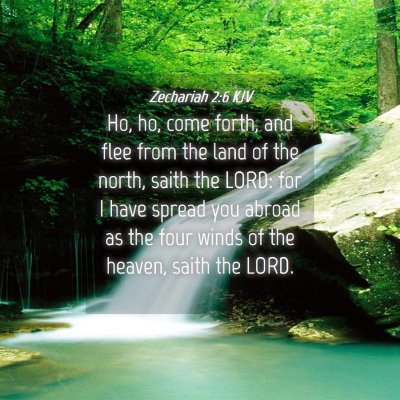 Picture 04 - Zechariah 2:6 KJV - Ho, ho, come forth, and flee from the land of the - Bible Verse Picture