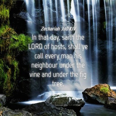 Picture 04 - Zechariah 3:10 KJV - In that day, saith the LORD of hosts, shall ye - Bible Verse Picture