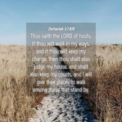 Picture 04 - Zechariah 3:7 KJV - Thus saith the LORD of hosts; If thou wilt walk - Bible Verse Picture