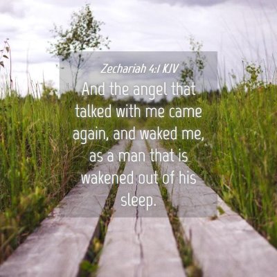 Picture 04 - Zechariah 4:1 KJV - And the angel that talked with me came again, and - Bible Verse Picture