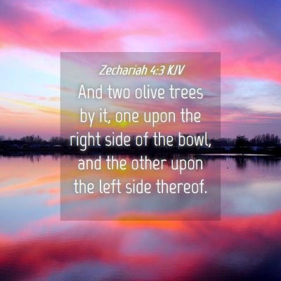 Picture 04 - Zechariah 4:3 KJV - And two olive trees by it, one upon the right - Bible Verse Picture