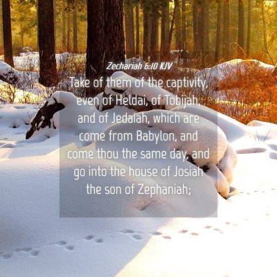 Picture 04 - Zechariah 6:10 KJV - Take of them of the captivity, even of Heldai, of - Bible Verse Picture