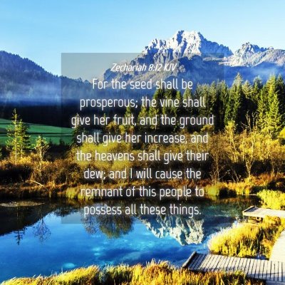 Picture 04 - Zechariah 8:12 KJV - For the seed shall be prosperous; the vine shall - Bible Verse Picture