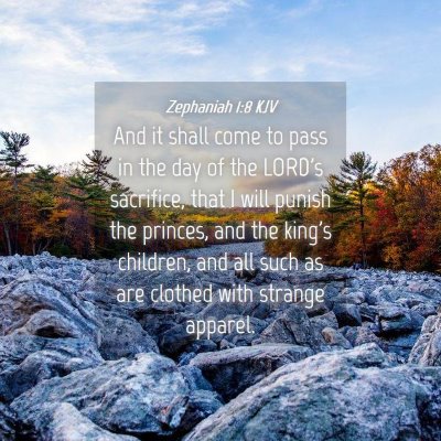 Picture 04 - Zephaniah 1:8 KJV - And it shall come to pass in the day of the - Bible Verse Picture