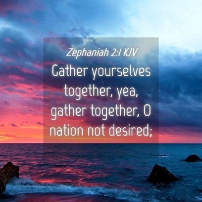 Picture 04 - Zephaniah 2:1 KJV - Gather yourselves together, yea, gather together, - Bible Verse Picture