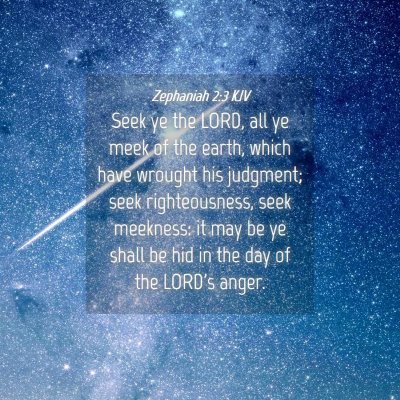 Picture 04 - Zephaniah 2:3 KJV - Seek ye the LORD, all ye meek of the earth, which - Bible Verse Picture