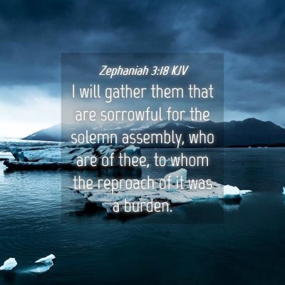 Picture 04 - Zephaniah 3:18 KJV - I will gather them that are sorrowful for the - Bible Verse Picture