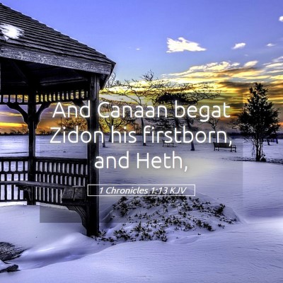 Picture 05 - 1 Chronicles 1:13 KJV - And Canaan begat Zidon his firstborn, and - Bible Verse Picture