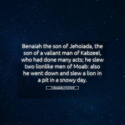 Picture 05 - 1 Chronicles 11:22 KJV - Benaiah the son of Jehoiada, the son of a valiant - Bible Verse Picture