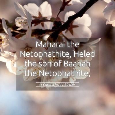 Picture 05 - 1 Chronicles 11:30 KJV - Maharai the Netophathite, Heled the son of Baanah - Bible Verse Picture