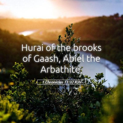 Picture 05 - 1 Chronicles 11:32 KJV - Hurai of the brooks of Gaash, Abiel the - Bible Verse Picture