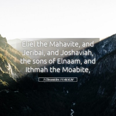 Picture 05 - 1 Chronicles 11:46 KJV - Eliel the Mahavite, and Jeribai, and Joshaviah, - Bible Verse Picture
