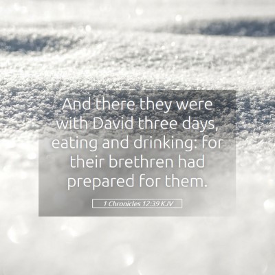 Picture 05 - 1 Chronicles 12:39 KJV - And there they were with David three days, eating - Bible Verse Picture