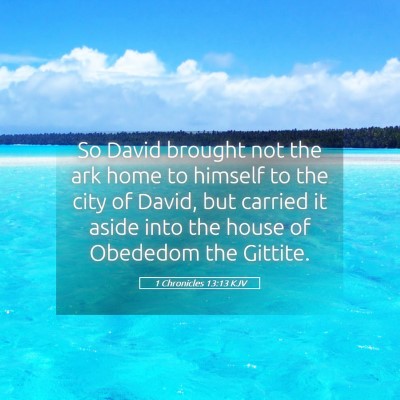 Picture 05 - 1 Chronicles 13:13 KJV - So David brought not the ark home to himself to - Bible Verse Picture