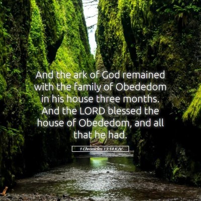 Picture 05 - 1 Chronicles 13:14 KJV - And the ark of God remained with the family of - Bible Verse Picture