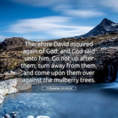Picture 05 - 1 Chronicles 14:14 KJV - Therefore David inquired again of God; and God - Bible Verse Picture