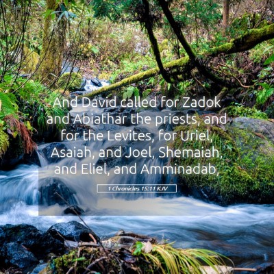 Picture 05 - 1 Chronicles 15:11 KJV - And David called for Zadok and Abiathar the - Bible Verse Picture