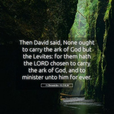 Picture 05 - 1 Chronicles 15:2 KJV - Then David said, None ought to carry the ark of - Bible Verse Picture