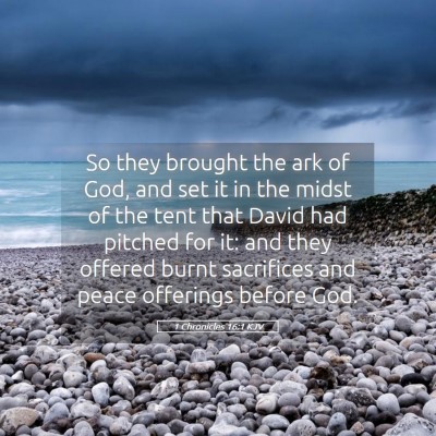 Picture 05 - 1 Chronicles 16:1 KJV - So they brought the ark of God, and set it in the - Bible Verse Picture