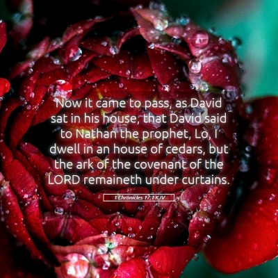 Picture 05 - 1 Chronicles 17:1 KJV - Now it came to pass, as David sat in his house, - Bible Verse Picture
