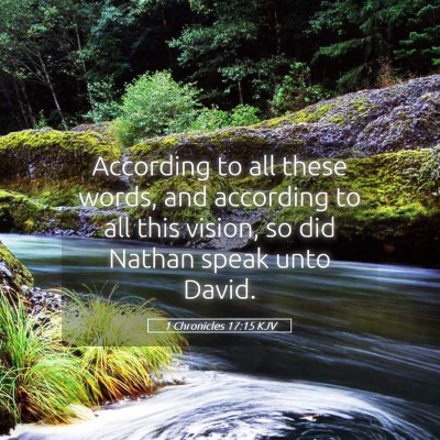 Picture 05 - 1 Chronicles 17:15 KJV - According to all these words, and according to - Bible Verse Picture