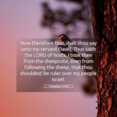Picture 05 - 1 Chronicles 17:7 KJV - Now therefore thus shalt thou say unto my servant - Bible Verse Picture