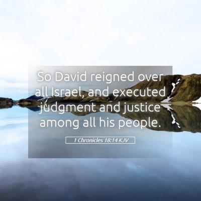 Picture 05 - 1 Chronicles 18:14 KJV - So David reigned over all Israel, and executed - Bible Verse Picture