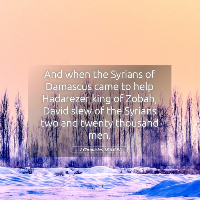 Picture 05 - 1 Chronicles 18:5 KJV - And when the Syrians of Damascus came to help - Bible Verse Picture
