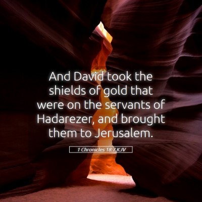 Picture 05 - 1 Chronicles 18:7 KJV - And David took the shields of gold that were on - Bible Verse Picture