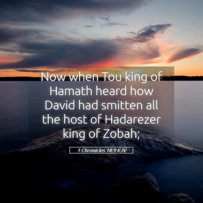 Picture 05 - 1 Chronicles 18:9 KJV - Now when Tou king of Hamath heard how David had - Bible Verse Picture