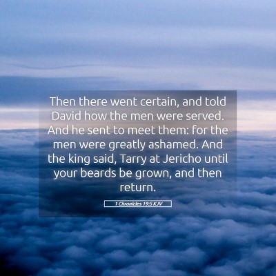 Picture 05 - 1 Chronicles 19:5 KJV - Then there went certain, and told David how the - Bible Verse Picture