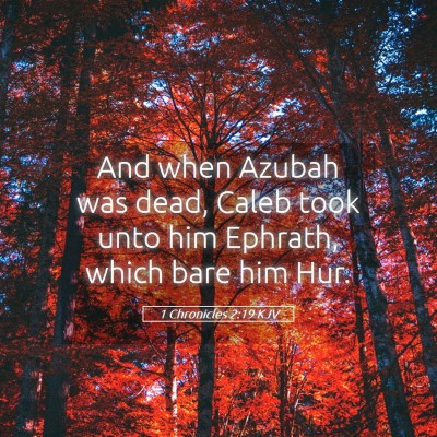 Picture 05 - 1 Chronicles 2:19 KJV - And when Azubah was dead, Caleb took unto him - Bible Verse Picture