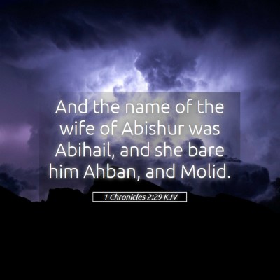 Picture 05 - 1 Chronicles 2:29 KJV - And the name of the wife of Abishur was Abihail, - Bible Verse Picture