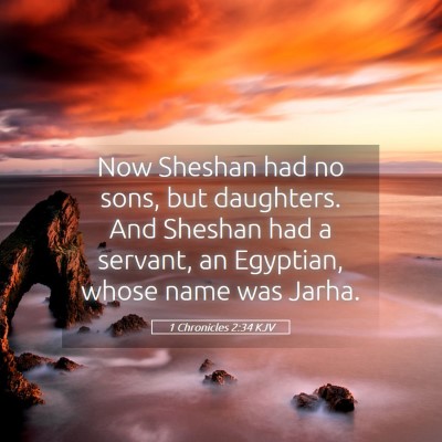 Picture 05 - 1 Chronicles 2:34 KJV - Now Sheshan had no sons, but daughters. And - Bible Verse Picture