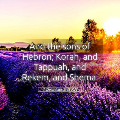 Picture 05 - 1 Chronicles 2:43 KJV - And the sons of Hebron; Korah, and Tappuah, and - Bible Verse Picture