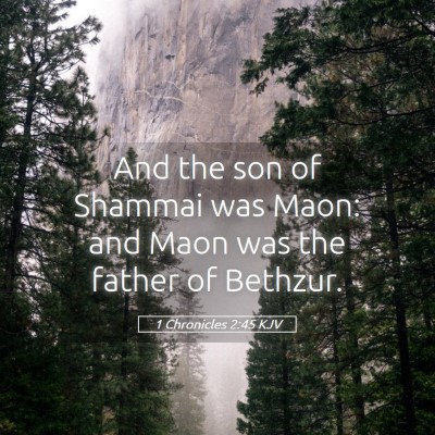 Picture 05 - 1 Chronicles 2:45 KJV - And the son of Shammai was Maon: and Maon was the - Bible Verse Picture