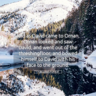 Picture 05 - 1 Chronicles 21:21 KJV - And as David came to Ornan, Ornan looked and saw - Bible Verse Picture