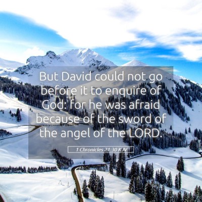 Picture 05 - 1 Chronicles 21:30 KJV - But David could not go before it to enquire of - Bible Verse Picture