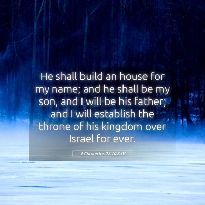 Picture 05 - 1 Chronicles 22:10 KJV - He shall build an house for my name; and he shall - Bible Verse Picture