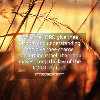 Picture 05 - 1 Chronicles 22:12 KJV - Only the LORD give thee wisdom and understanding, - Bible Verse Picture