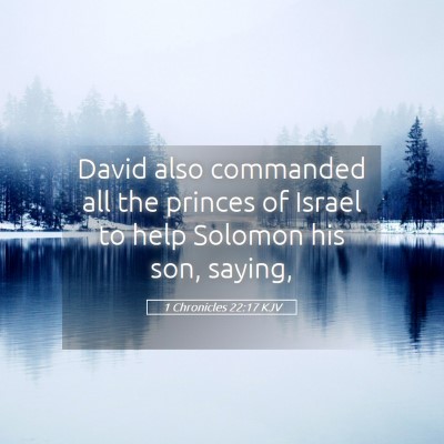 Picture 05 - 1 Chronicles 22:17 KJV - David also commanded all the princes of Israel to - Bible Verse Picture